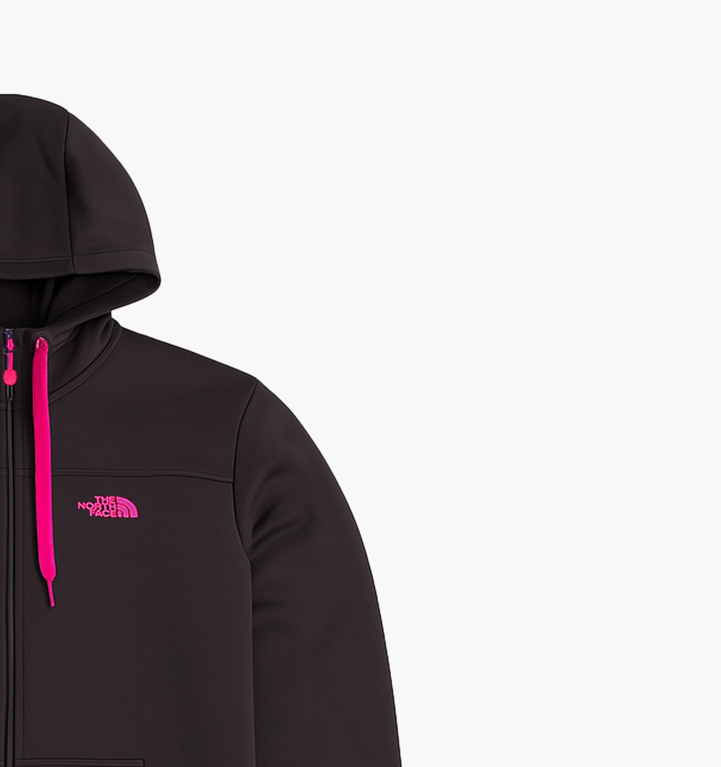 The North Face Softshell Fleece Jacket (Women's L)