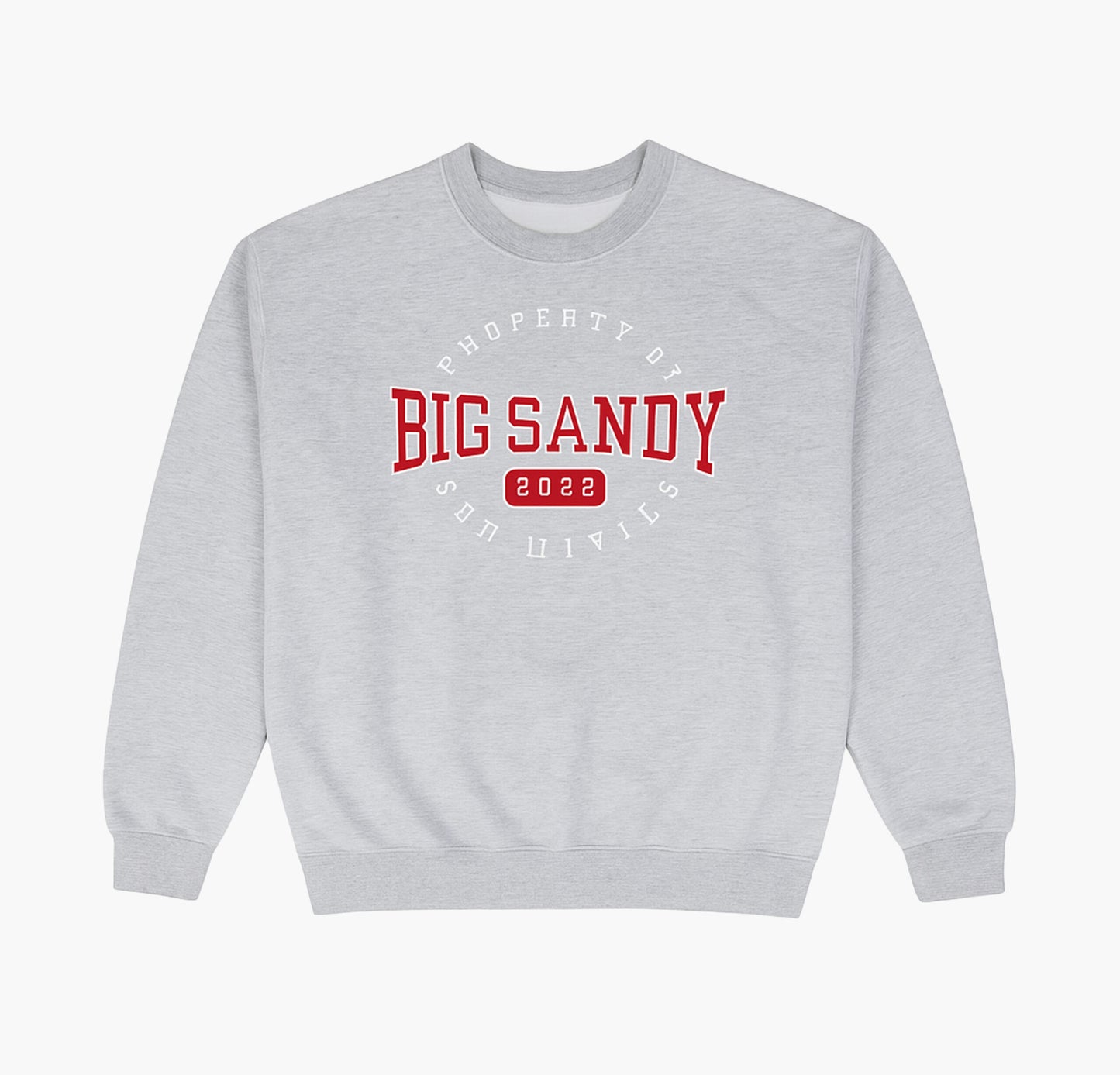 US Vintage Jerzees Sweatshirt