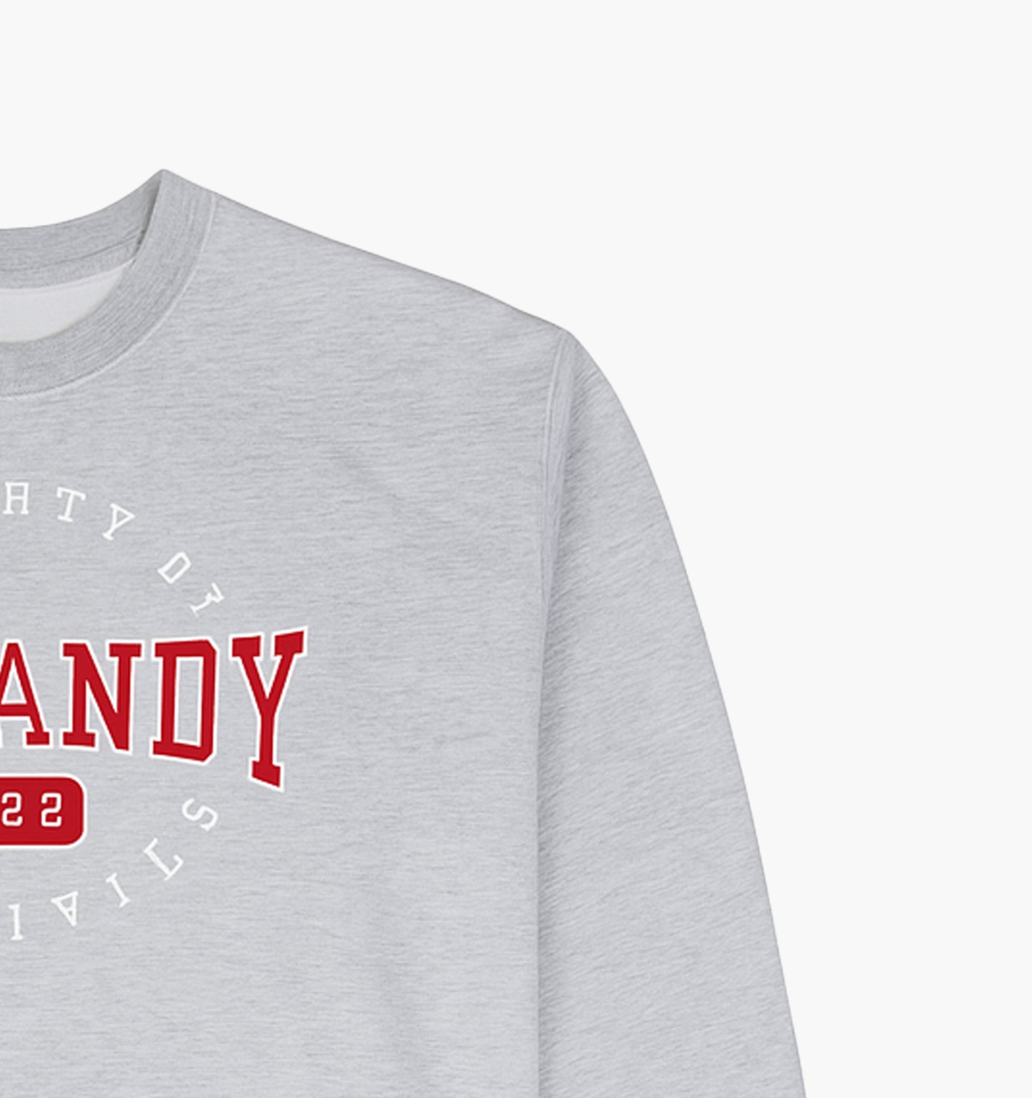 US Vintage Jerzees Sweatshirt