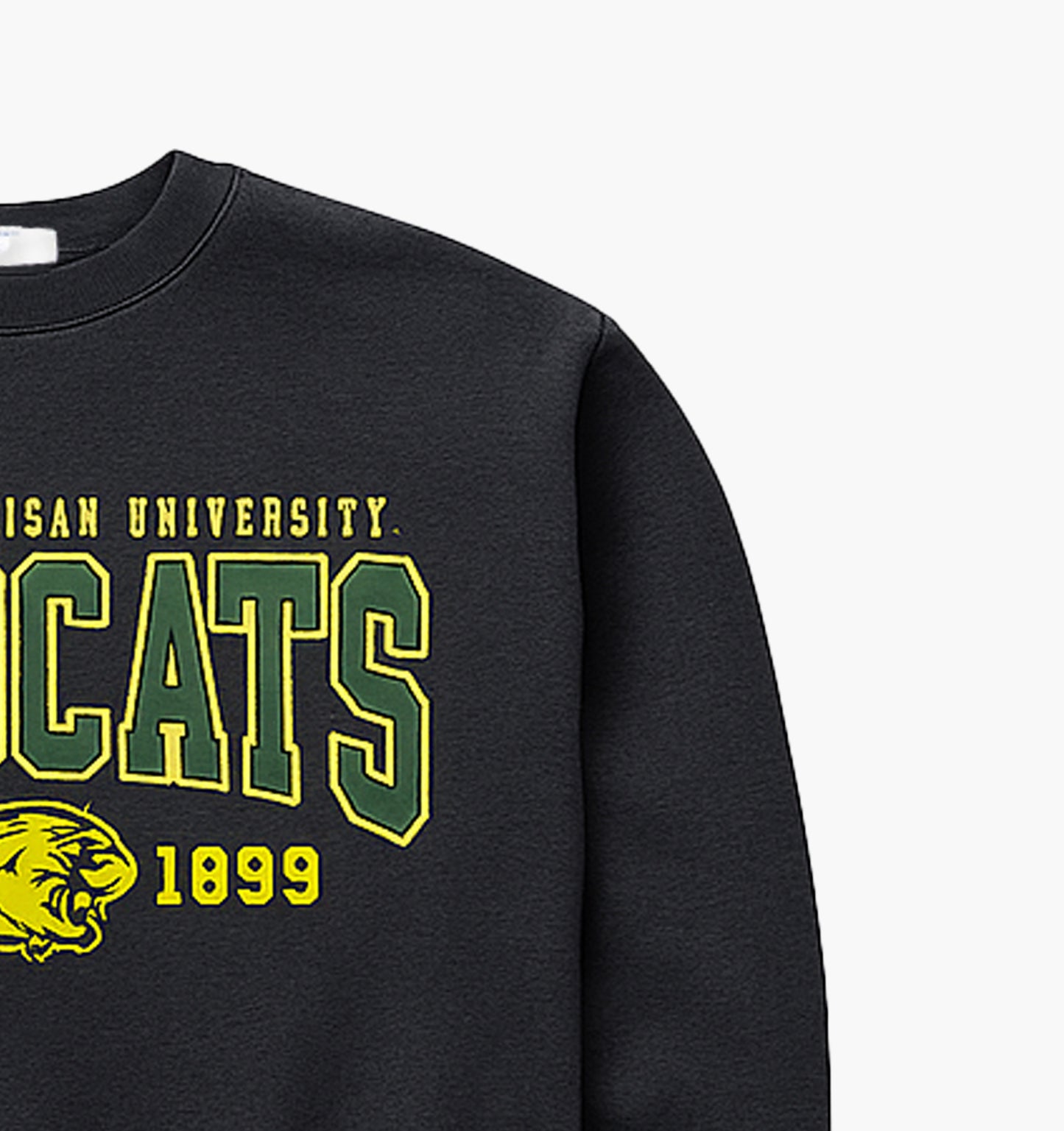 Champion Wildcats Sweater (L)