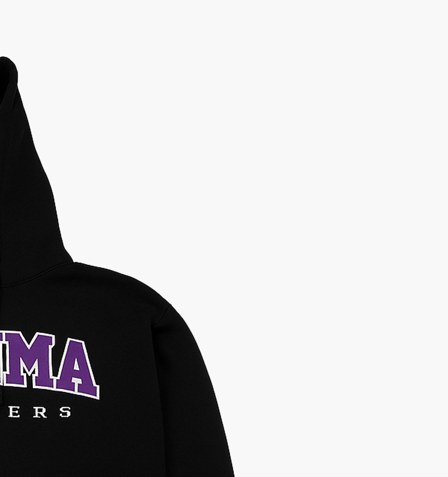 Champion SJNMA Lancers Hoodie (M)