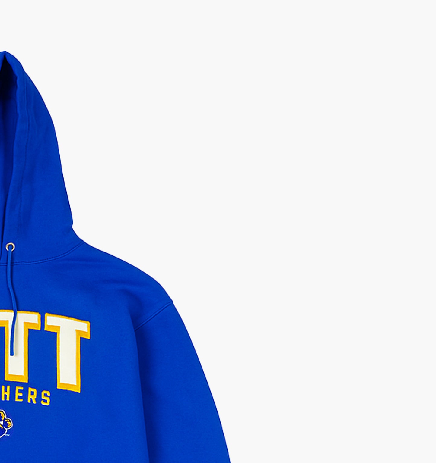 Champion Pitt Panthers Hoodie (S)