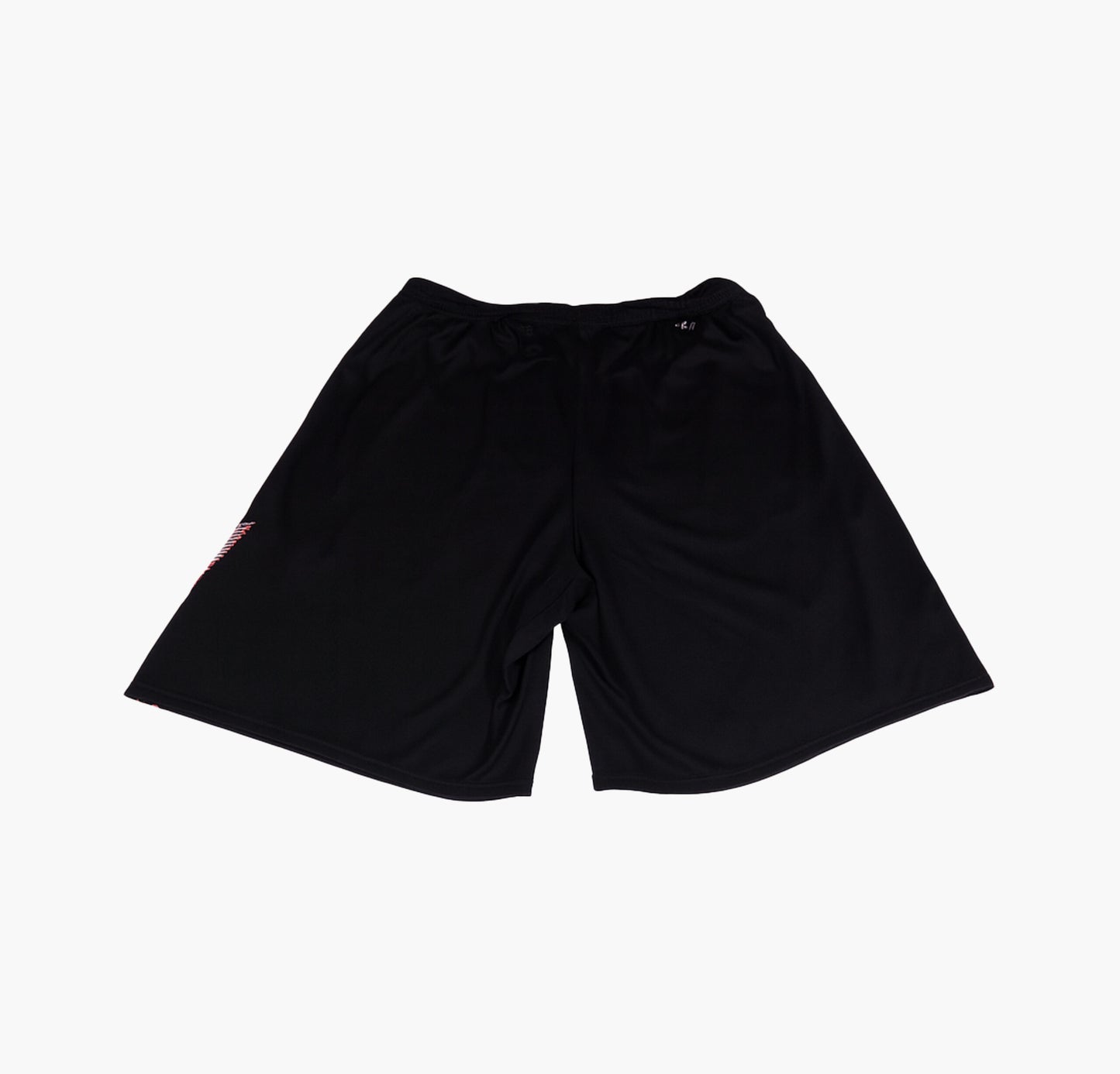 Nike Nylon Shorts Gesticktes Logo (L)