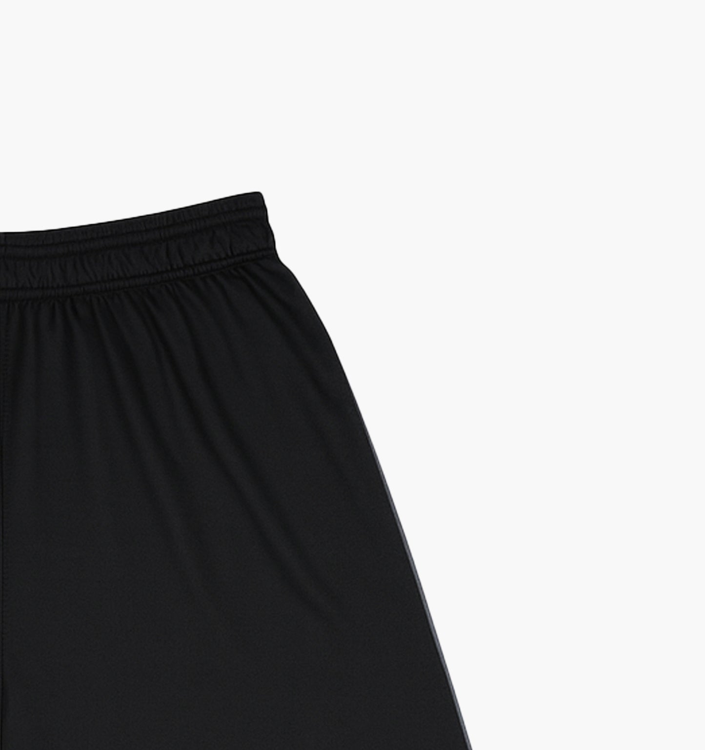 Reebok Nylon Shorts (M)