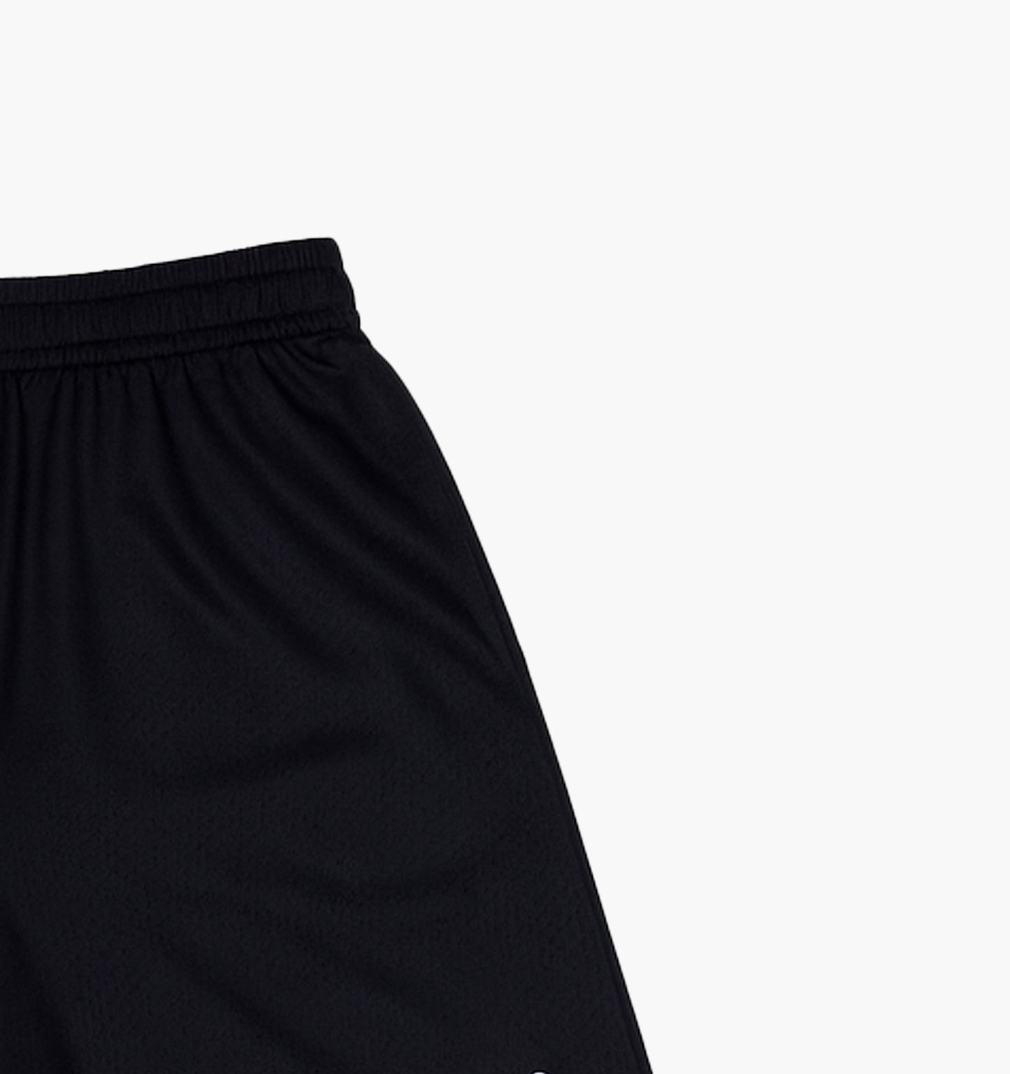 Jordan Nylon Shorts Gesticktes Logo (S)