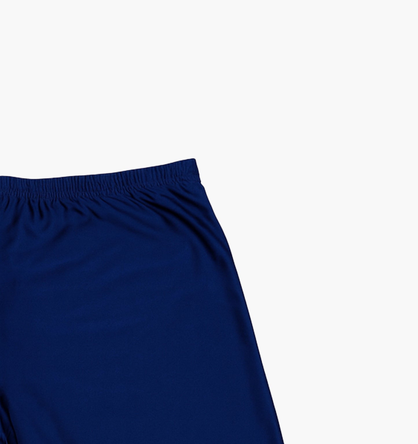 Nike Nylon Shorts Gesticktes Logo (XL)