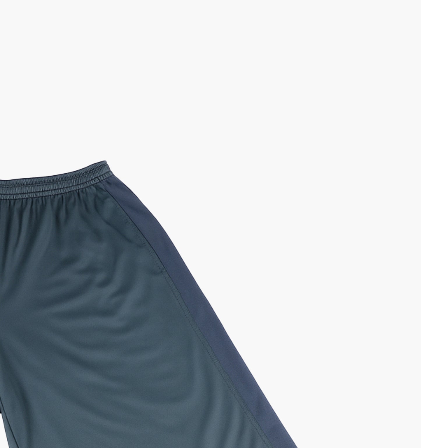 Nike Nylon Shorts (S)