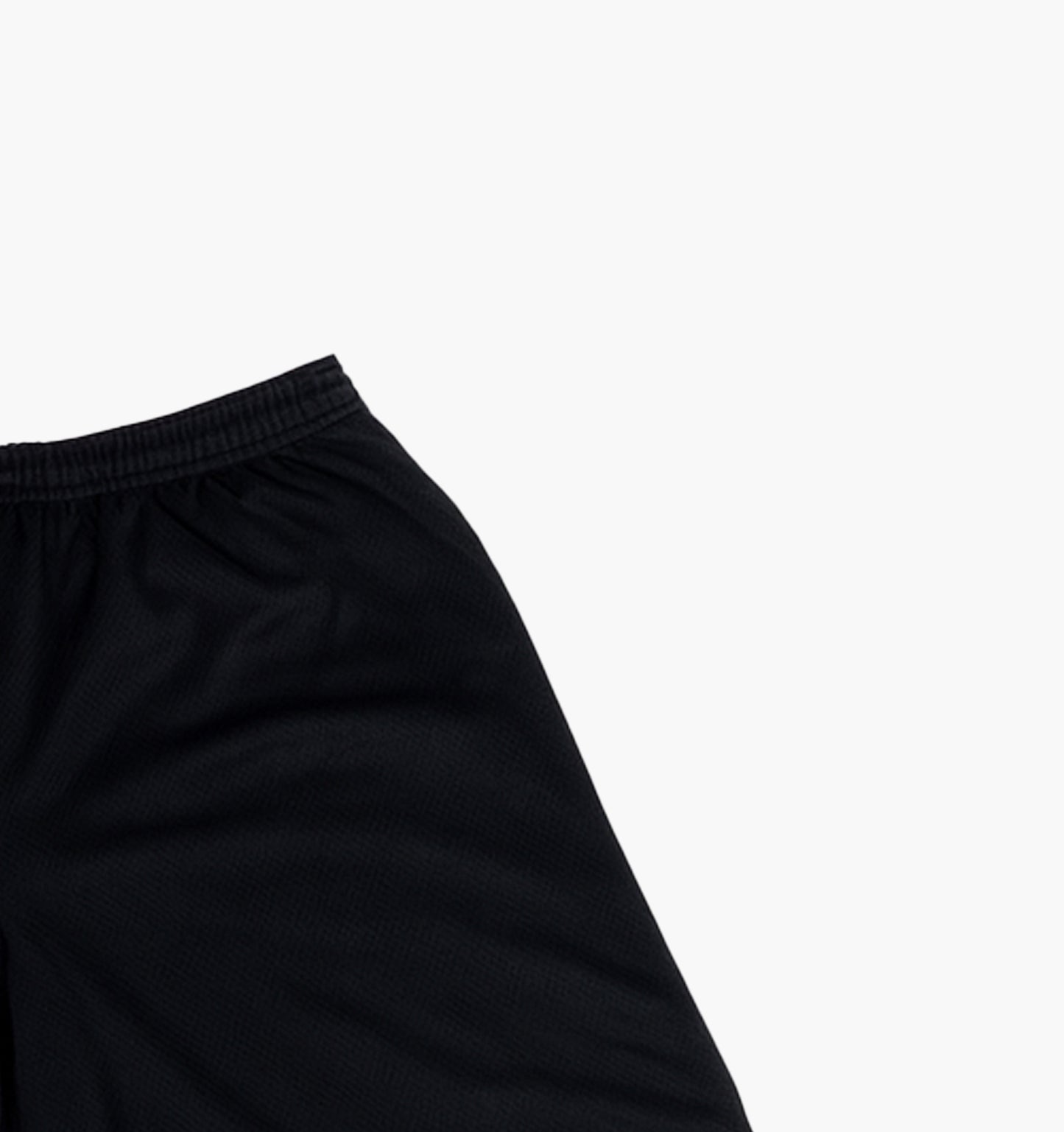 Champion Nylon Shorts (XL)