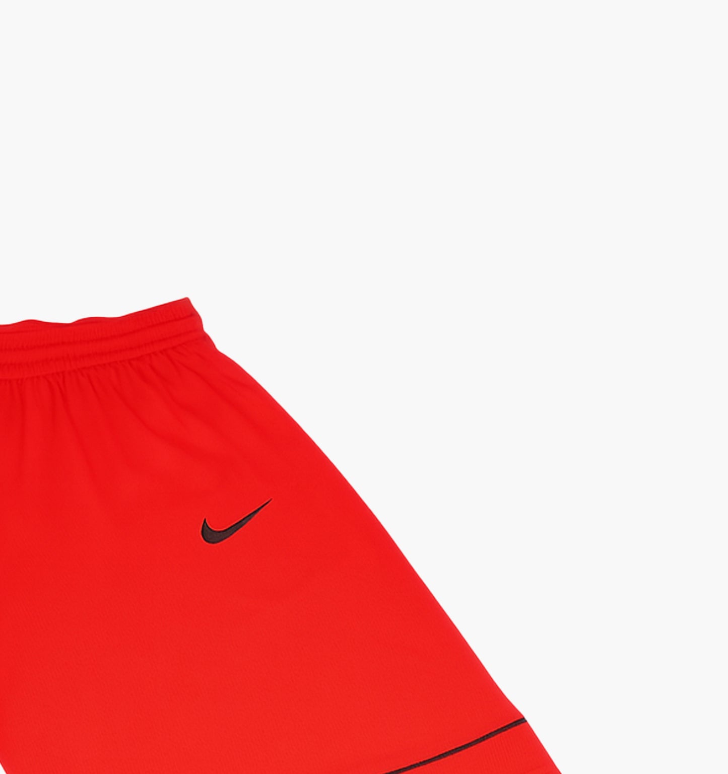Nike Nylon Shorts (M)