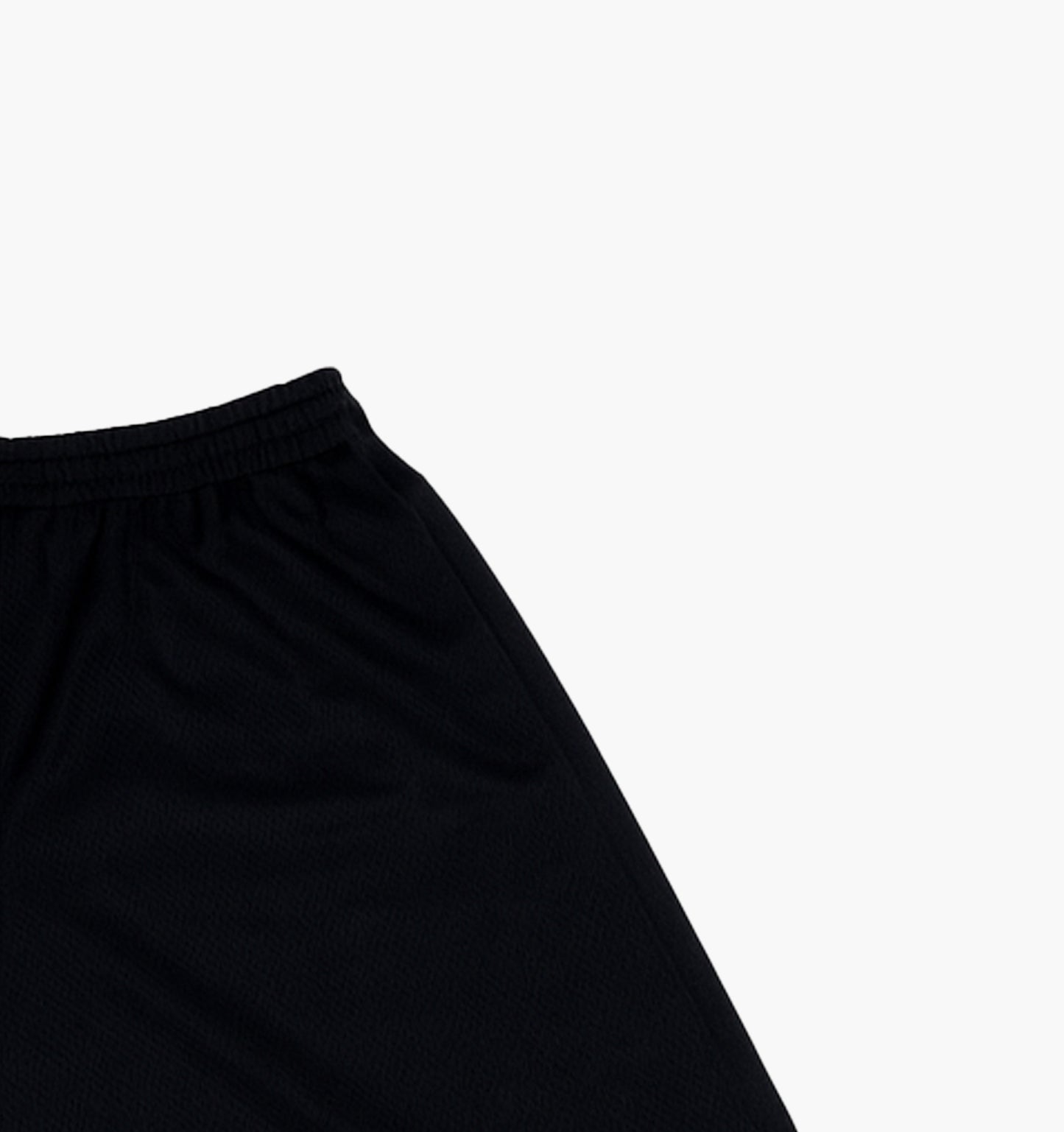 Champion Nylon Shorts (XL)