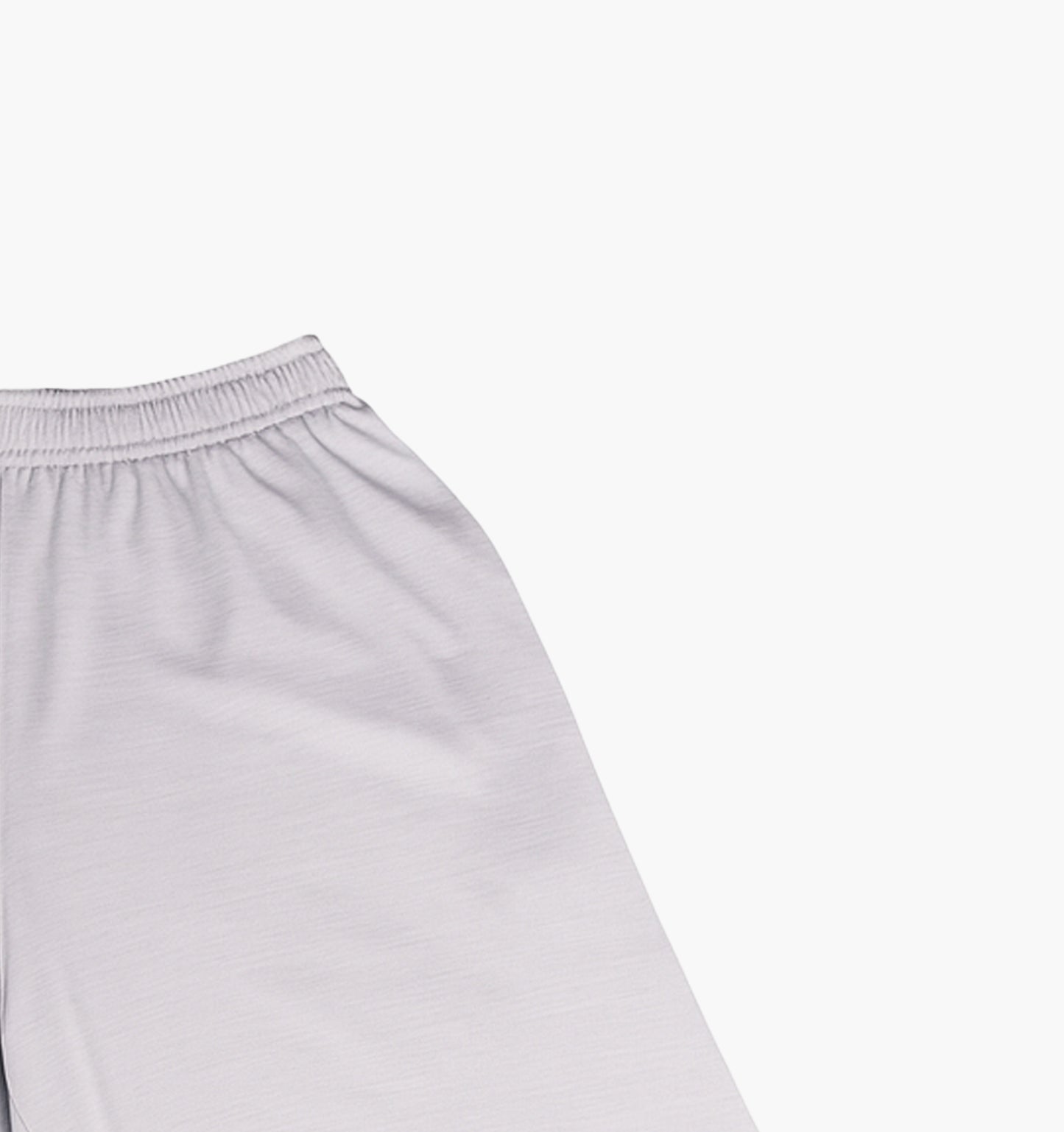 Champion Nylon Shorts (L)
