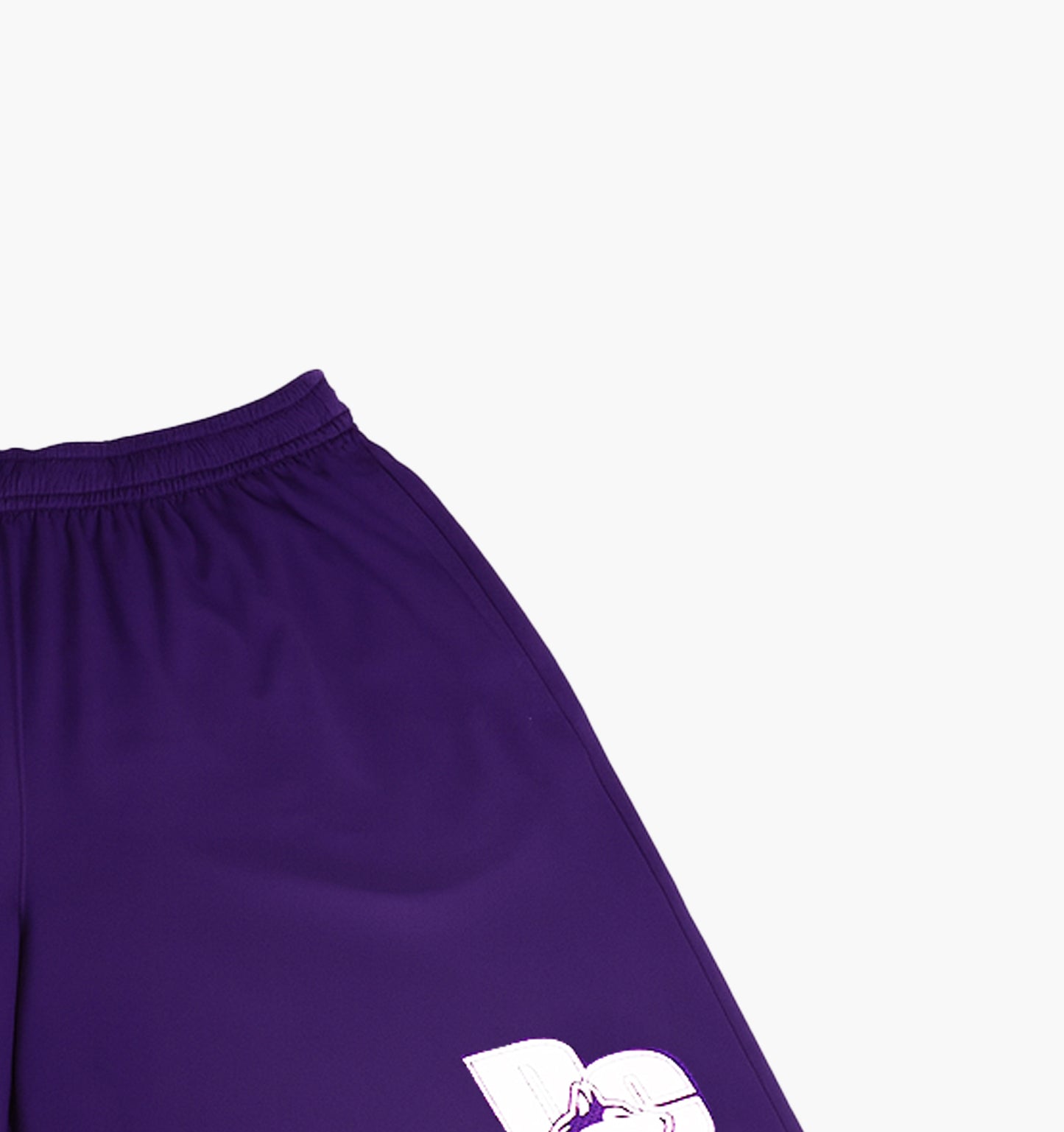 Under Armour Nylon Shorts (L)