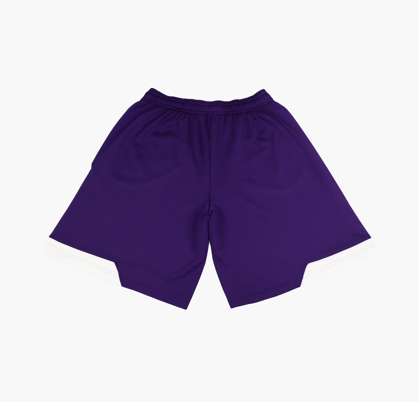 Under Armour Nylon Shorts (L)
