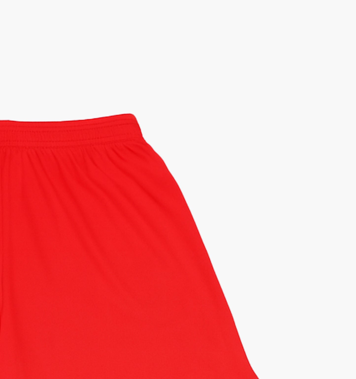 Under Armour Nylon Shorts (S)
