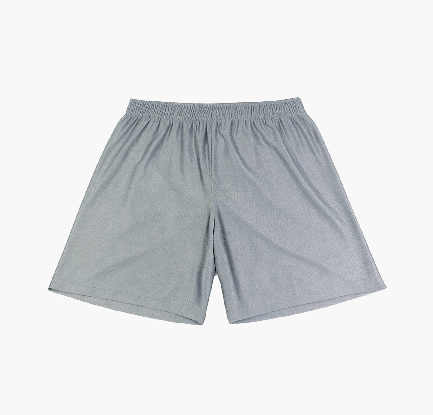 Starter Nylon Shorts (L)