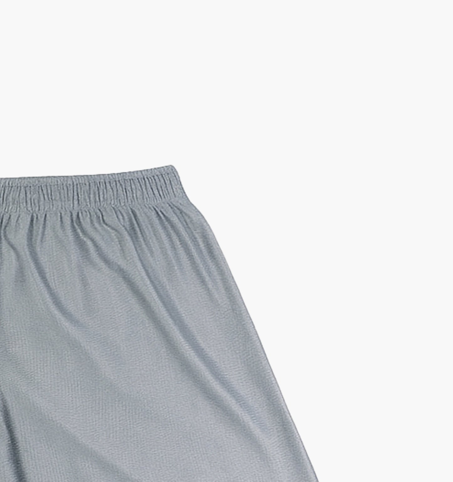 Starter Nylon Shorts (L)