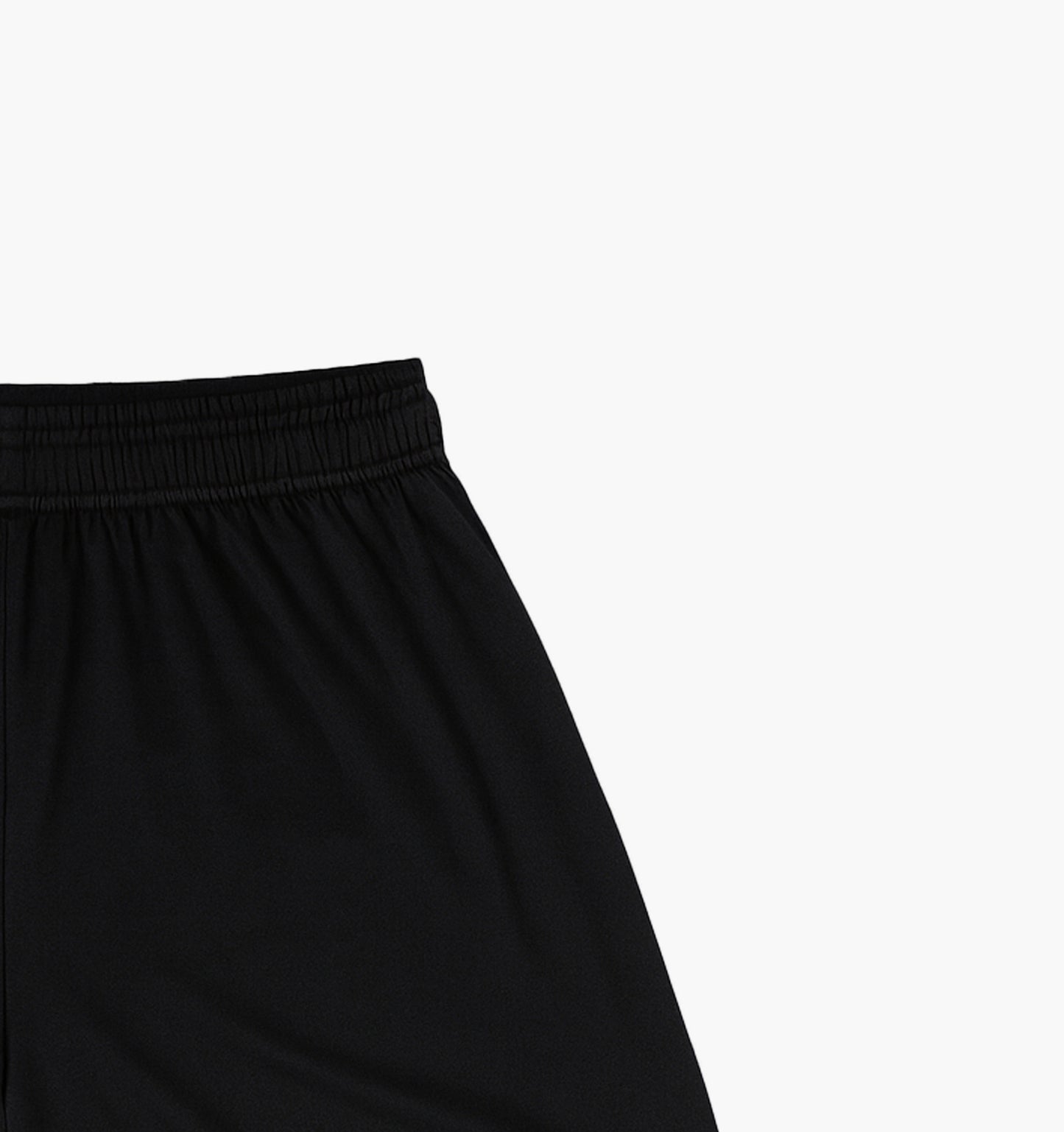 Under Armour Nylon Shorts (XL)