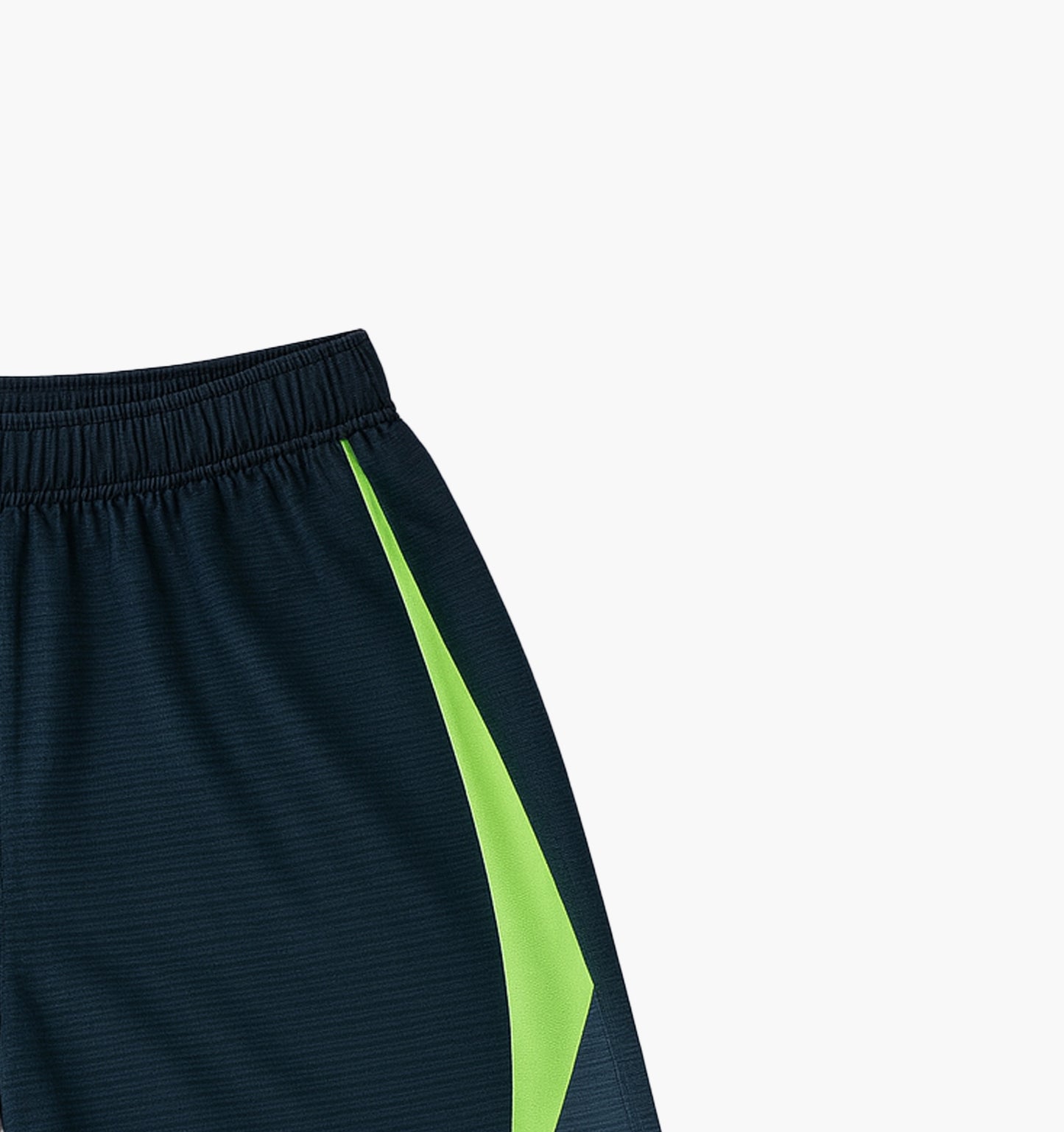 Nike Nylon Shorts (XL)