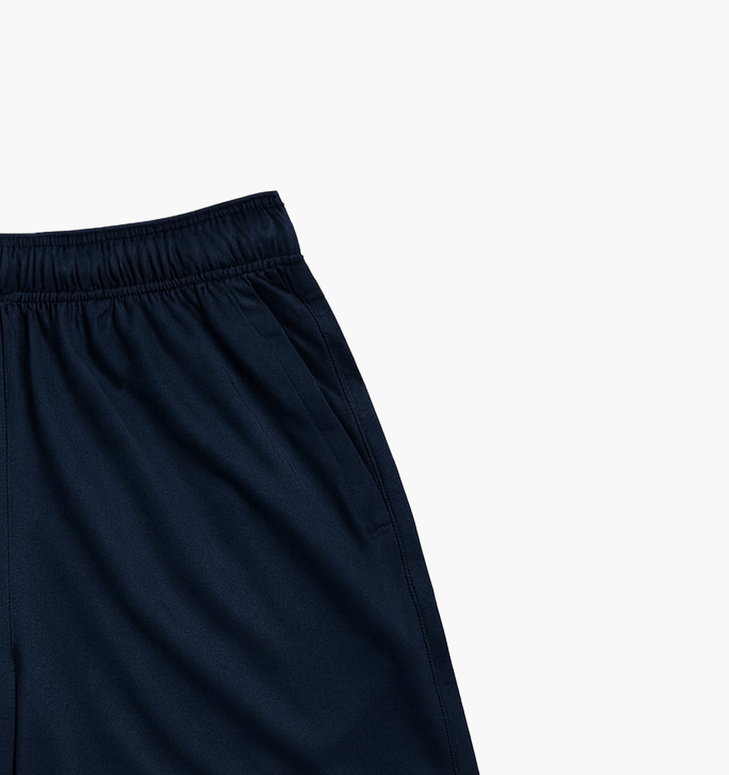 Nike Nylon Shorts Embroidered Logo (S)
