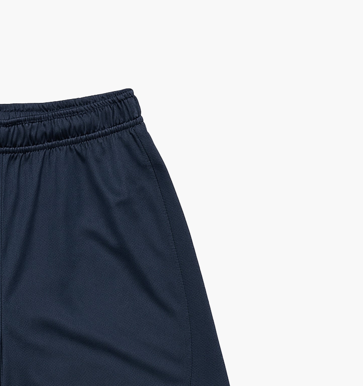 Nike Nylon Shorts Embroidered Logo (S)