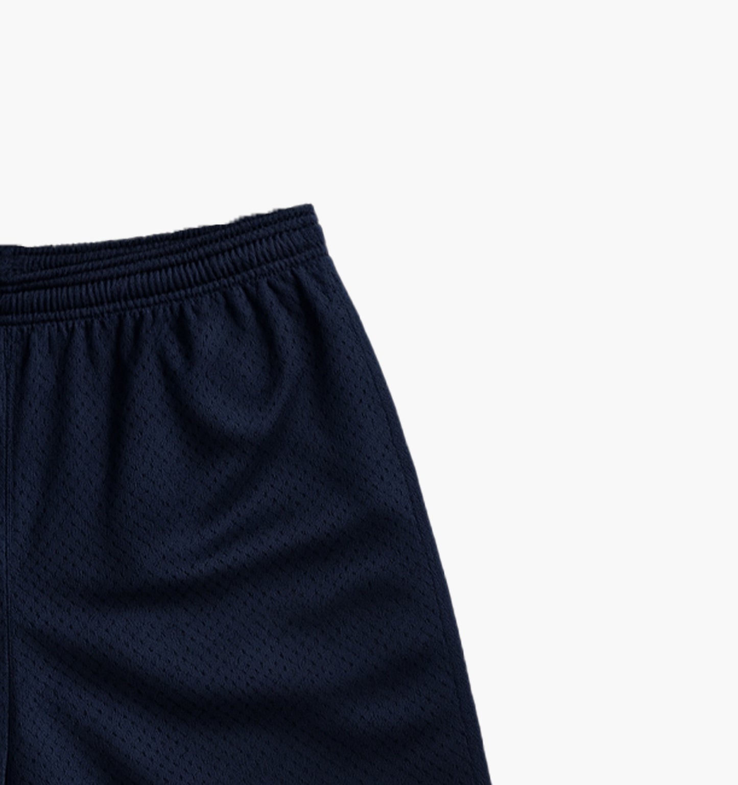 Champion Nylon Shorts (M)