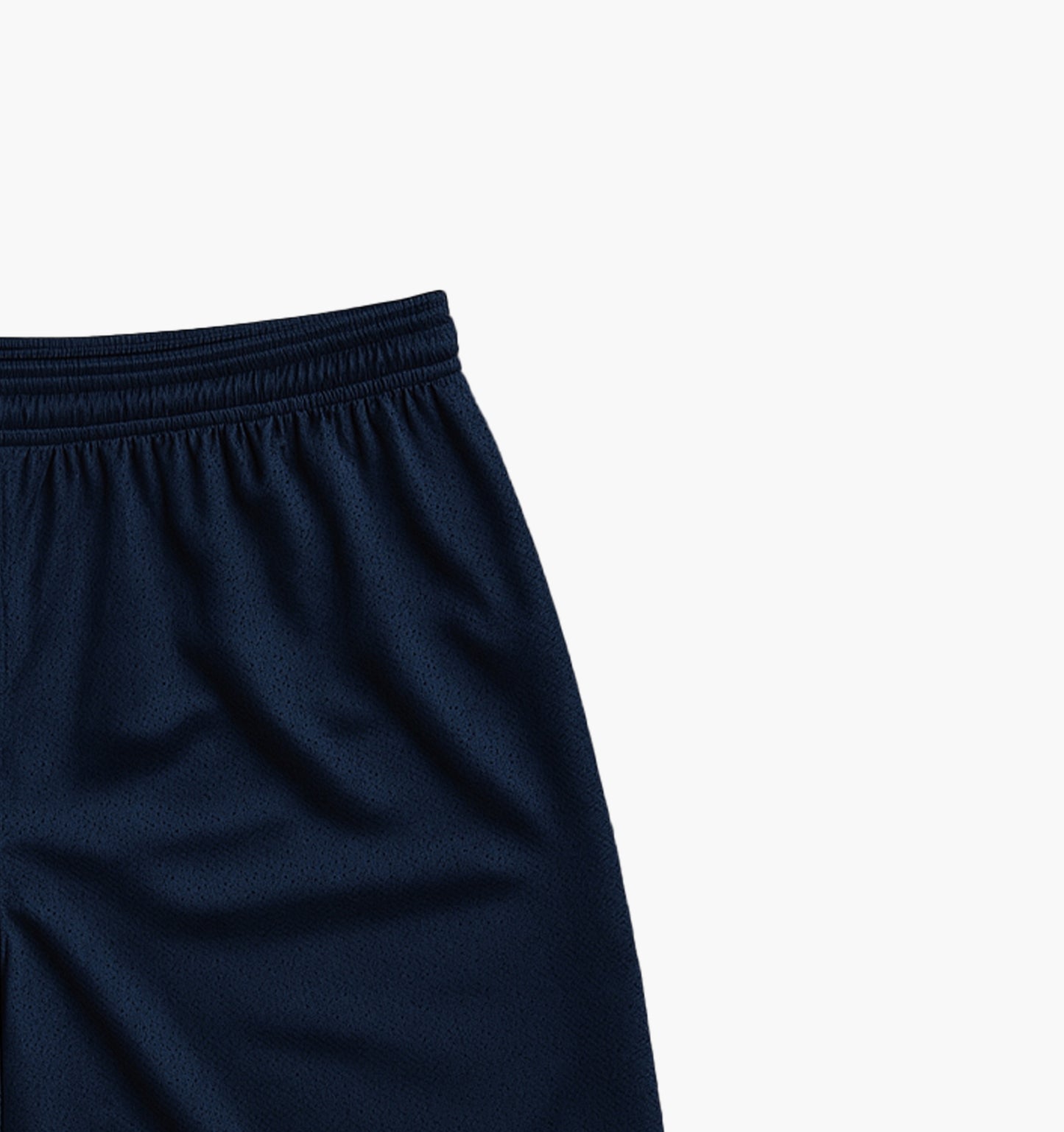 Champion Nylon Shorts (M)