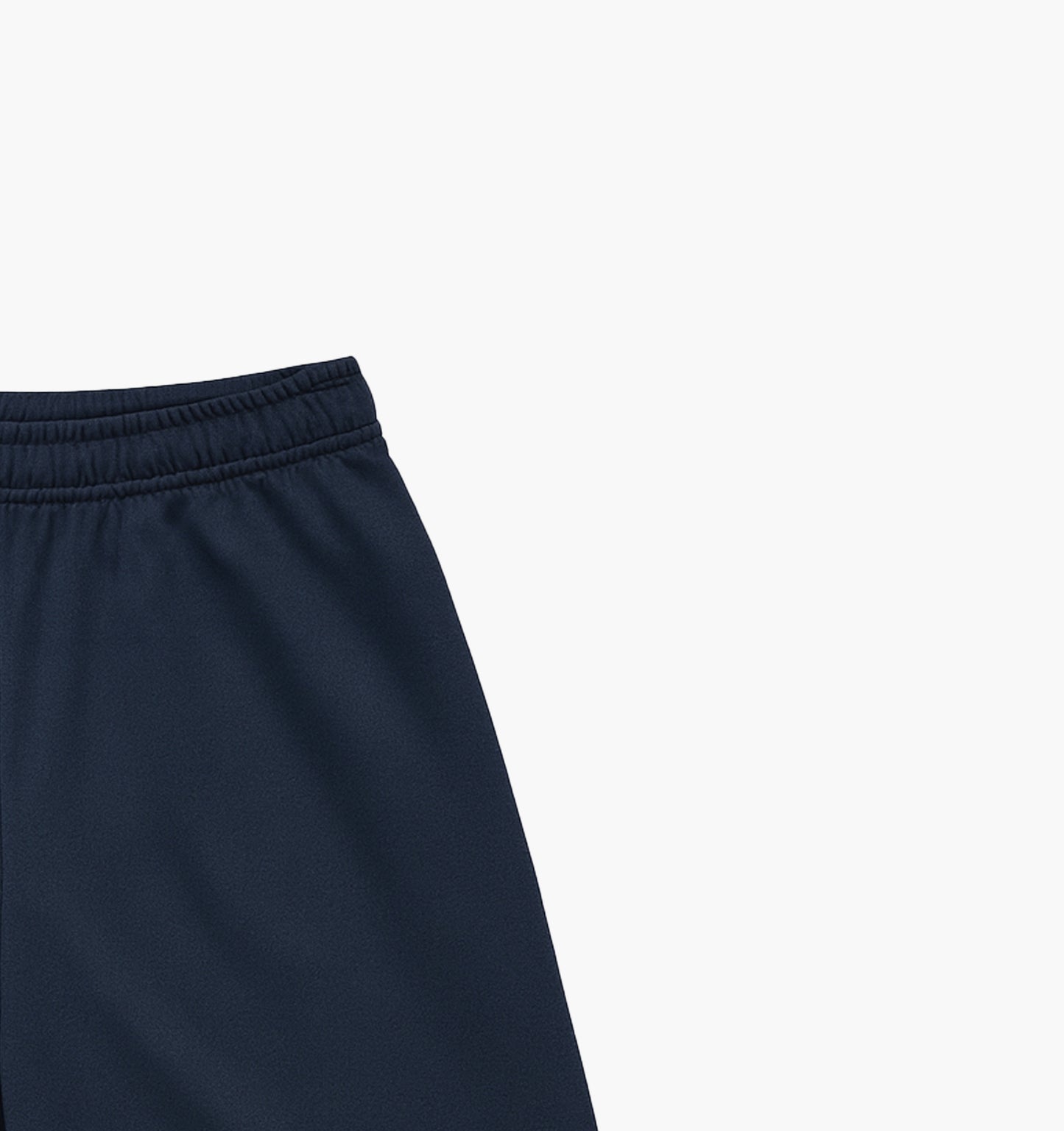 Champion Nylon Shorts Embroidered Logo (L)