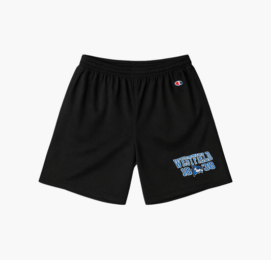 Champion Nylon Shorts (XL)