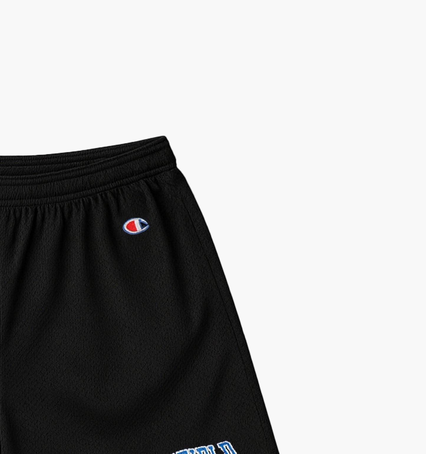 Champion Nylon Shorts (XL)