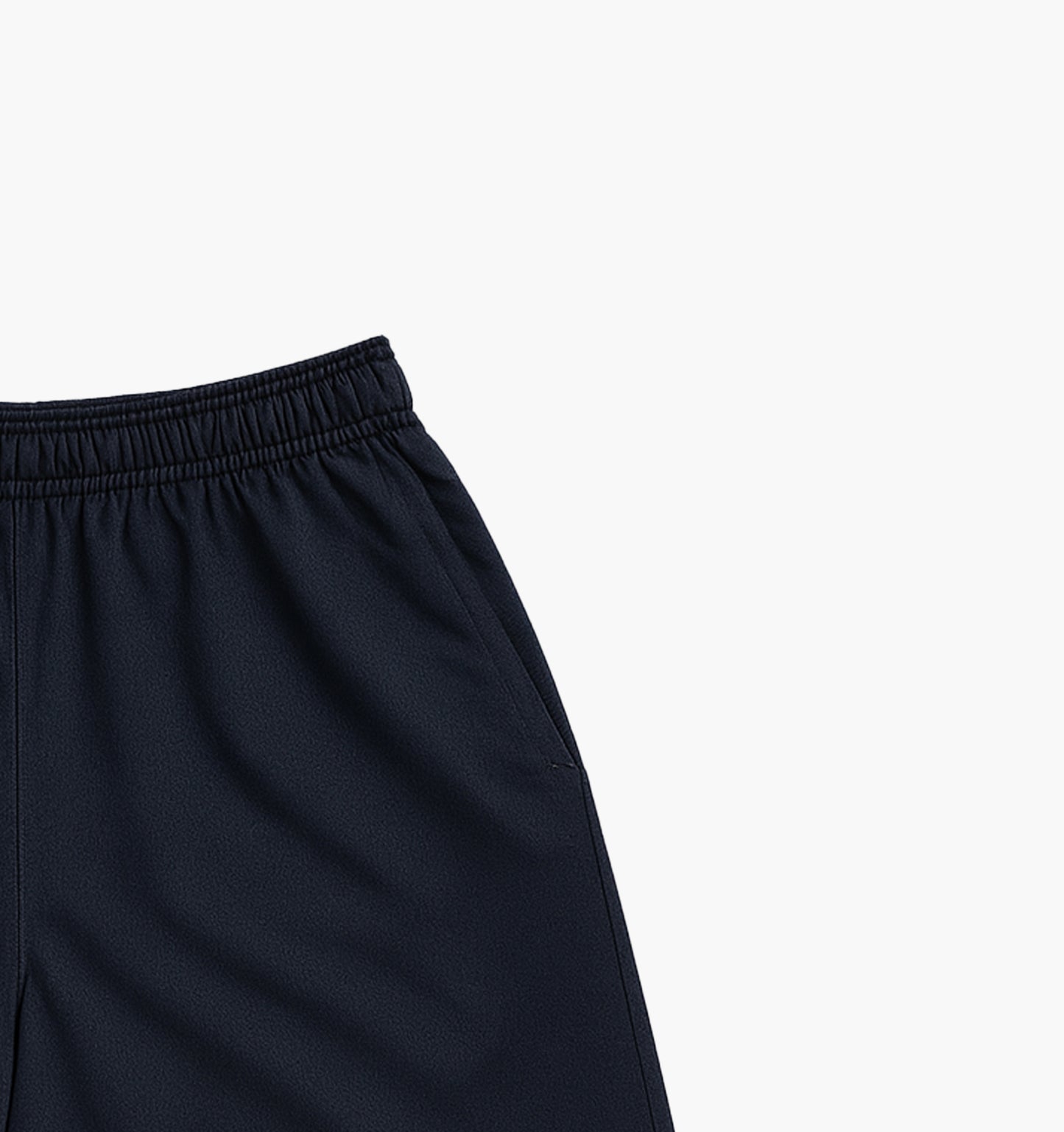 Champion Nylon Shorts (L)