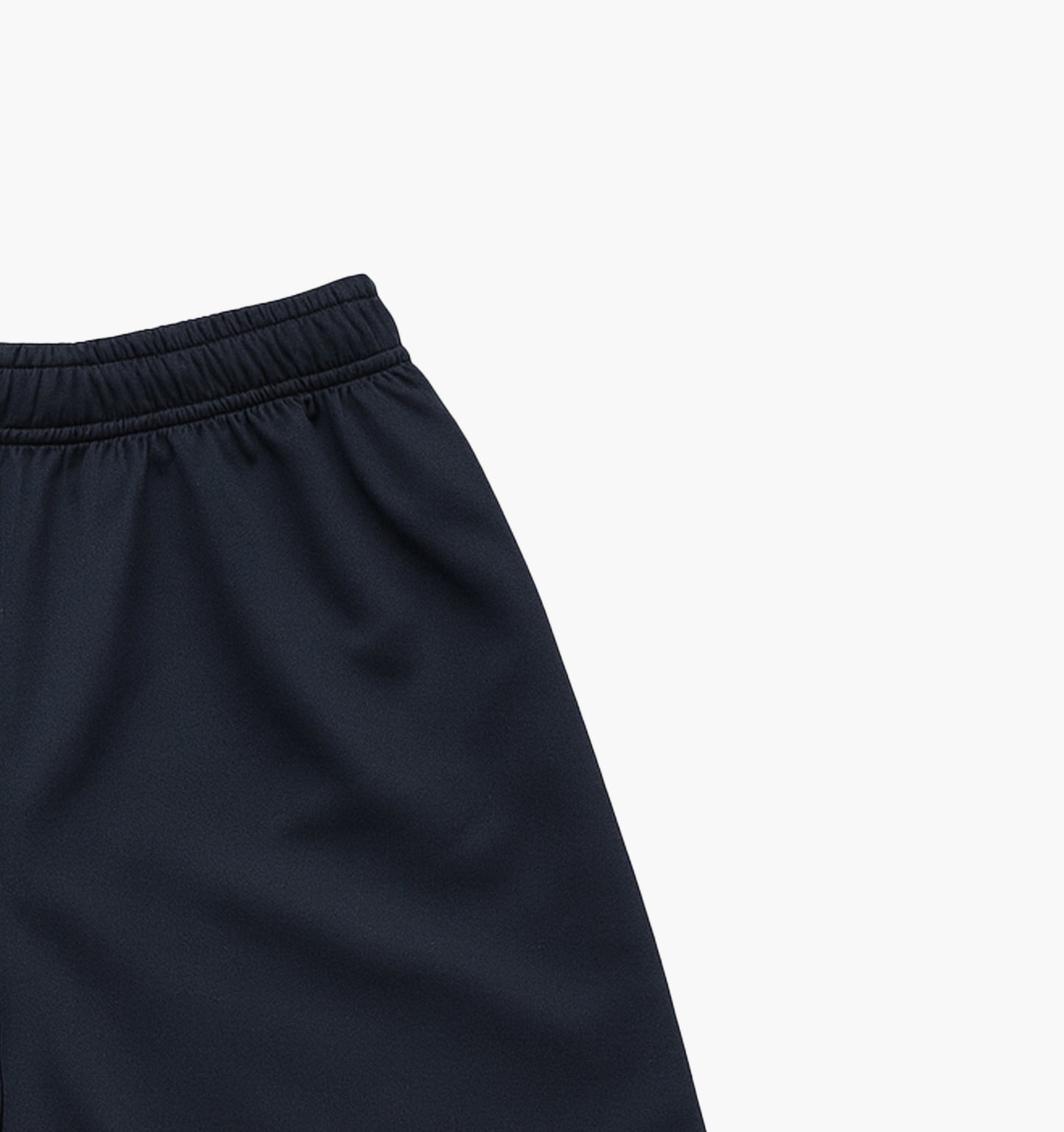 Champion Nylon Shorts (L)