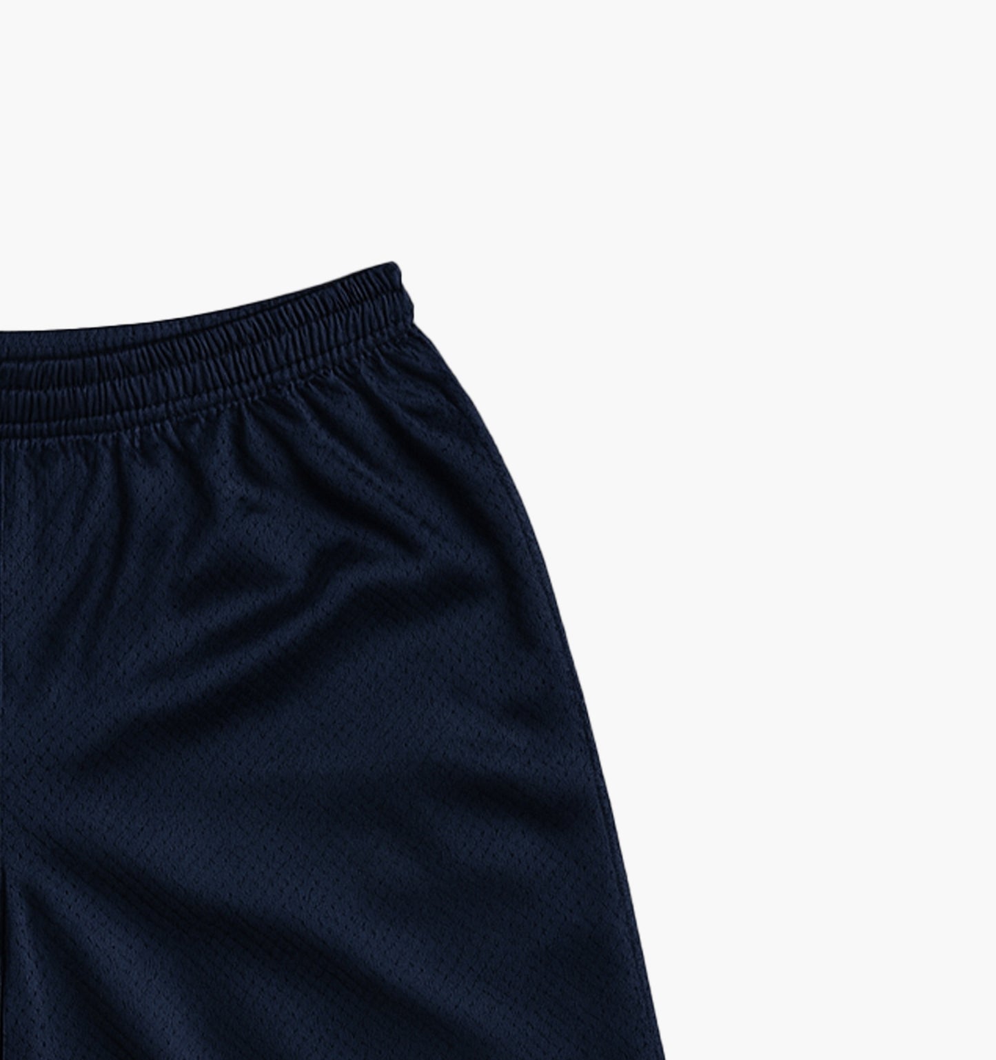 Champion Nylon Shorts Embroidered Logo (S)