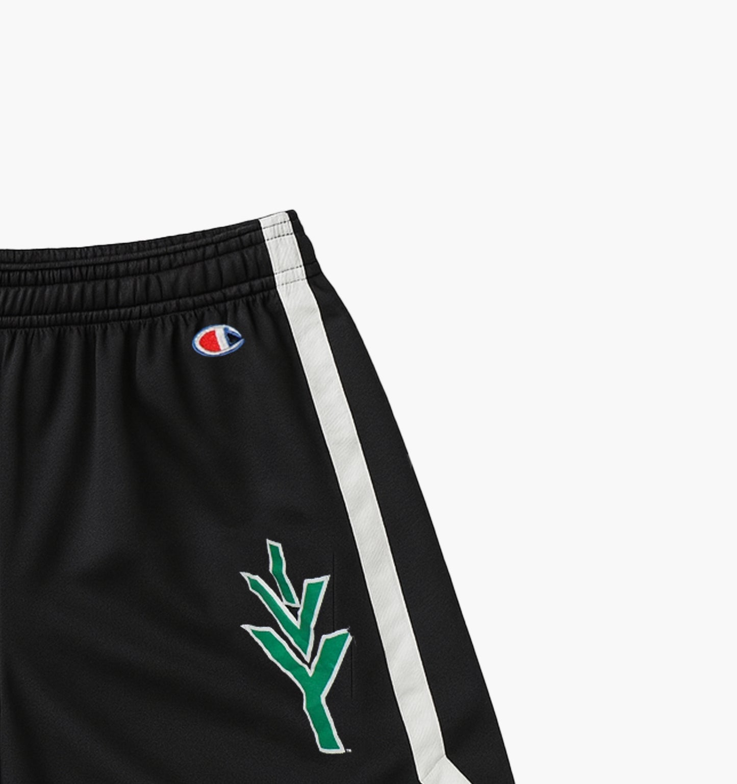 Champion Nylon Shorts Embroidered Logo (L)