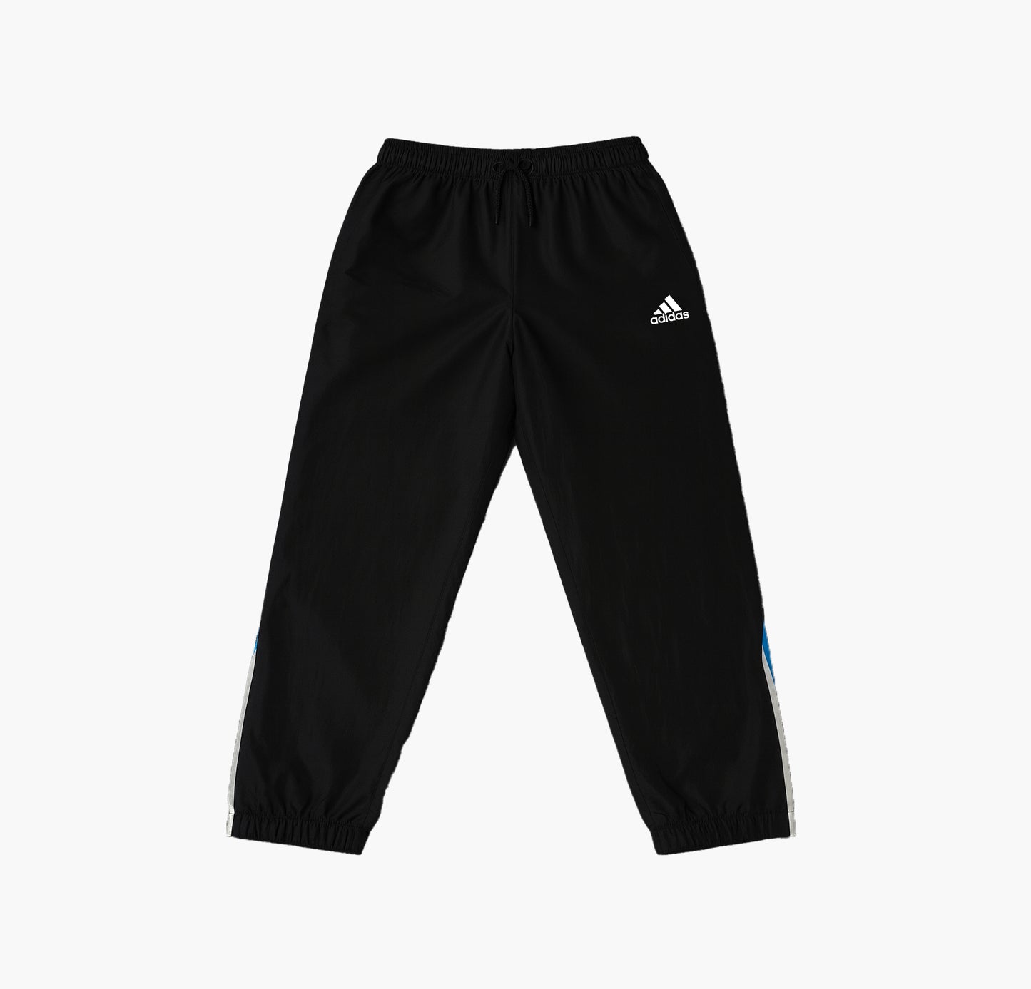 Adidas Nylon Shorts (L)