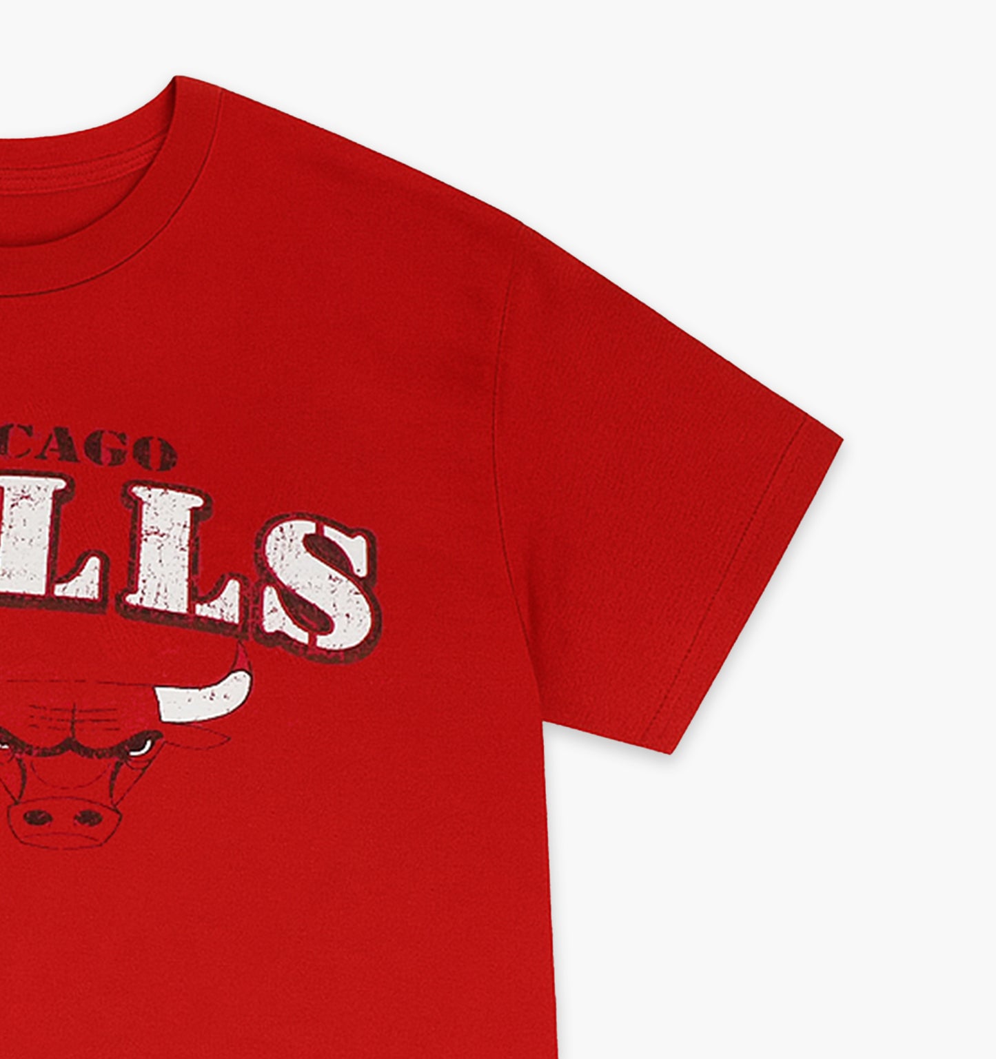 Vintage Chicago Bull NBA Shirt (XL)