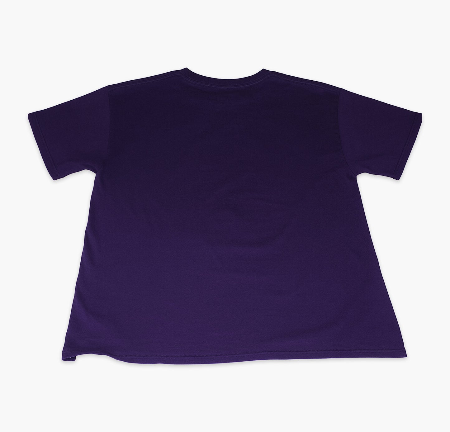 Baltimore Ravens NFL T-Shirt (L)