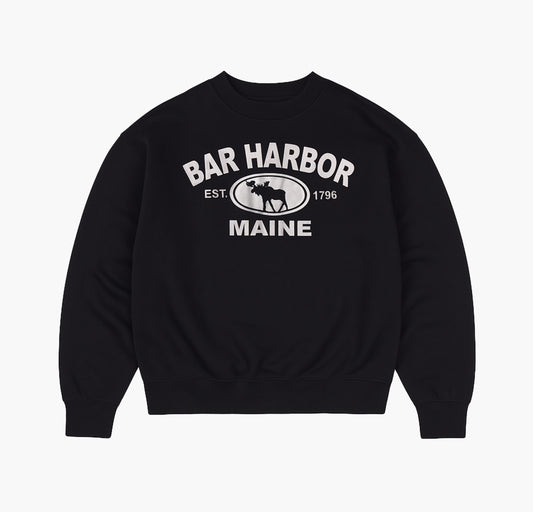 US Vintage Hanes Sweatshirt (L)