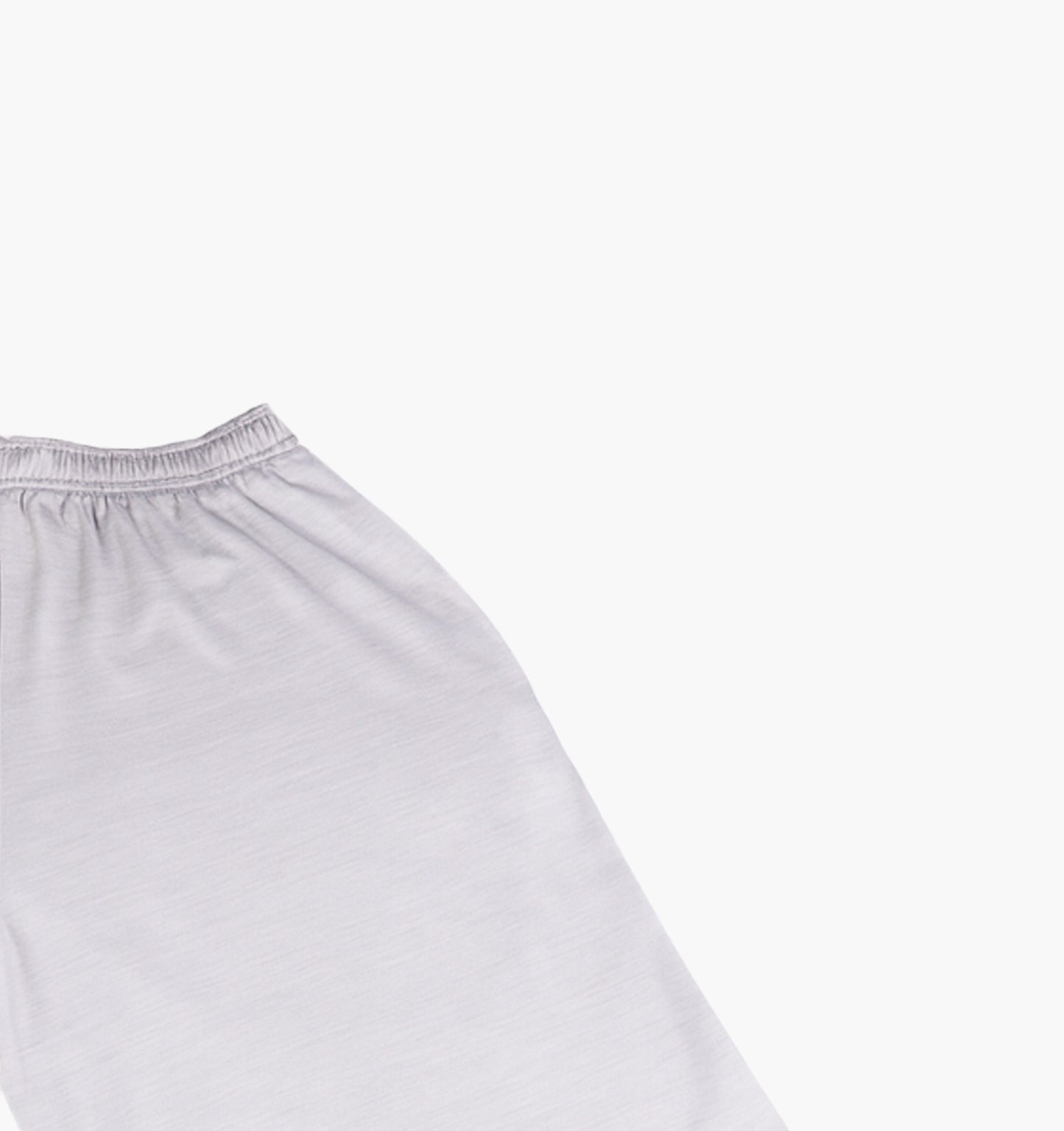 Champion Nylon Shorts (L)