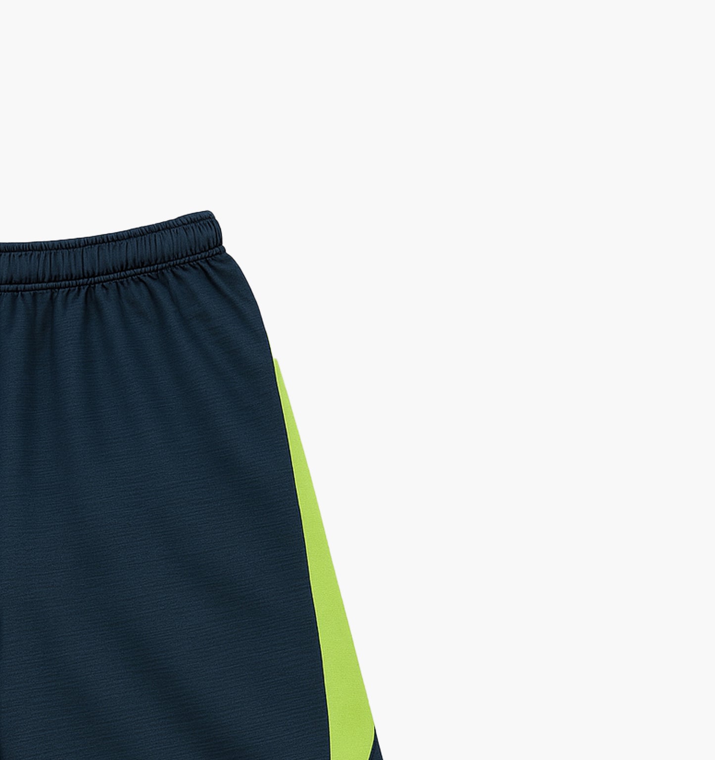 Nike Nylon Shorts (XL)