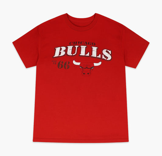Vintage Chicago Bull NBA Shirt (XL)