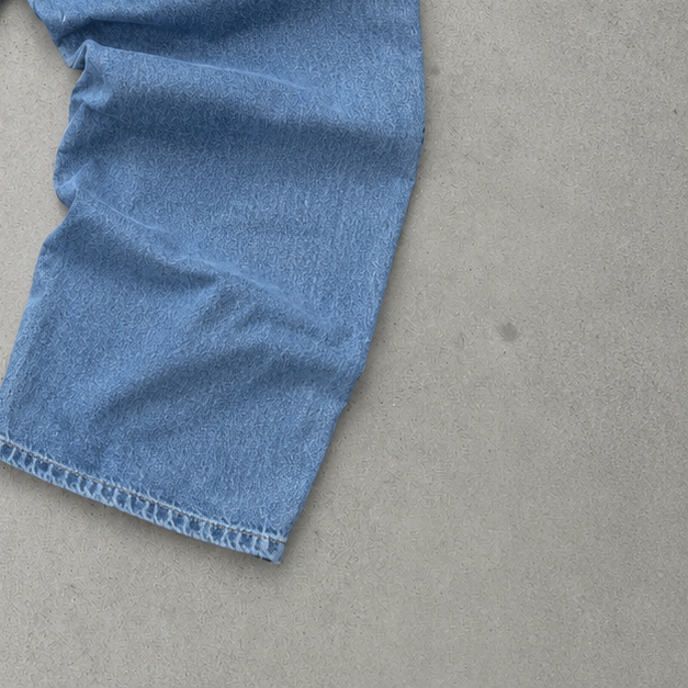 Carhartt Jeans Hellblau Rare (L)
