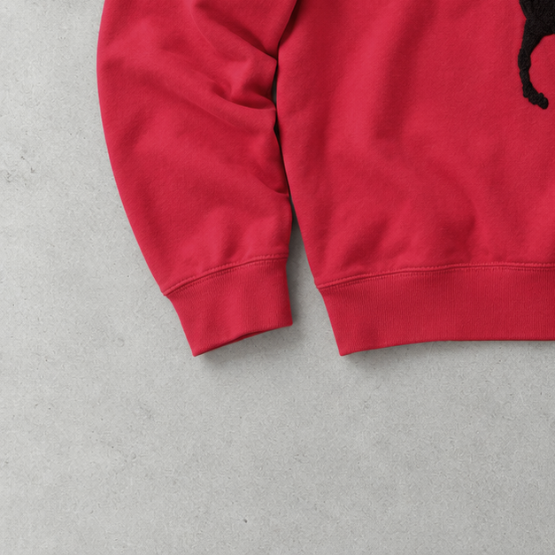 Ralph Lauren Sweatshirt Rot Rare (M)