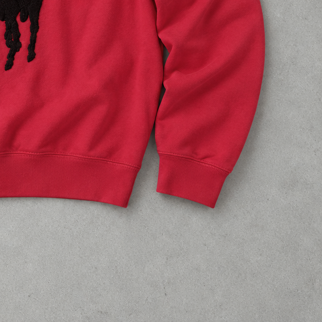 Ralph Lauren Sweatshirt Rot Rare (M)
