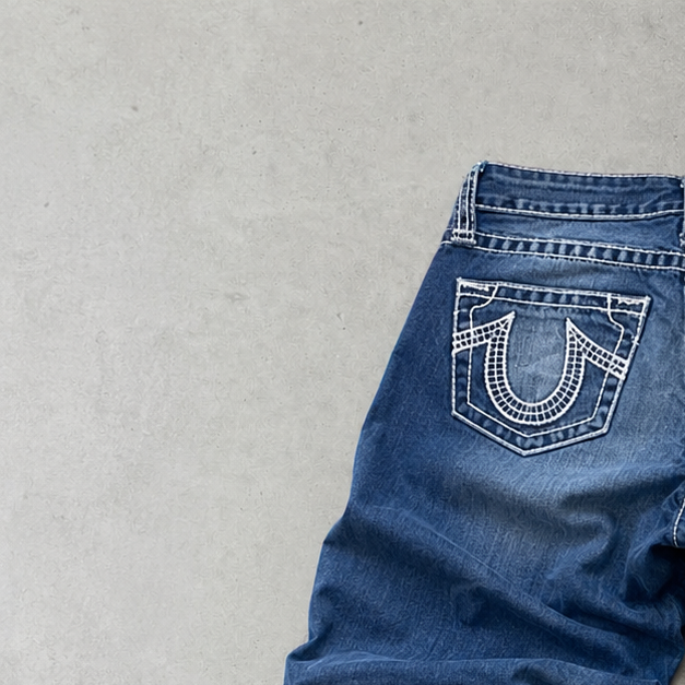 Y2K True Religion Pants Blau Rare (W28 | DE 44)